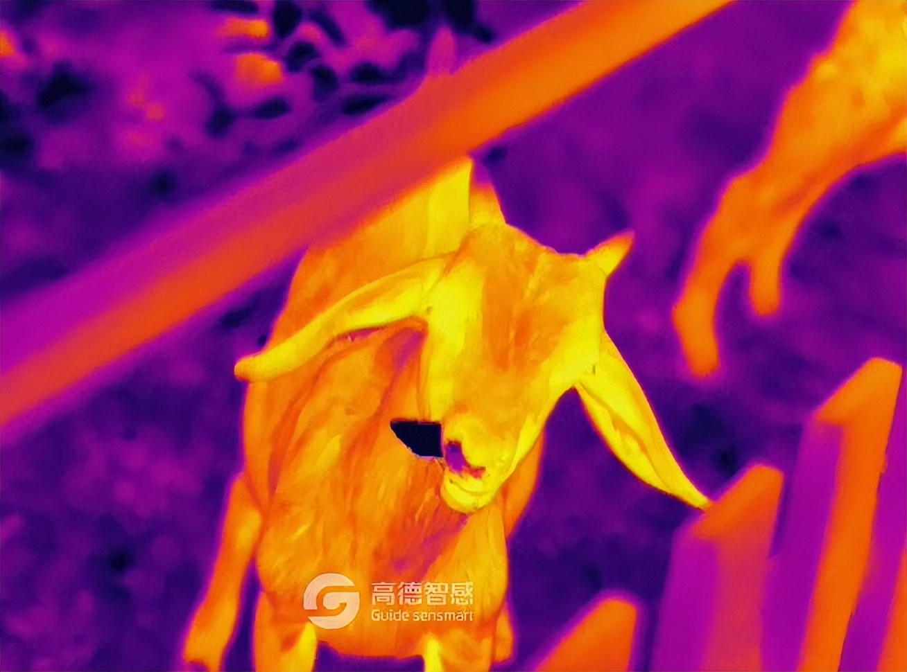 红外线热成像技术测温原理,红外热成像原理介绍