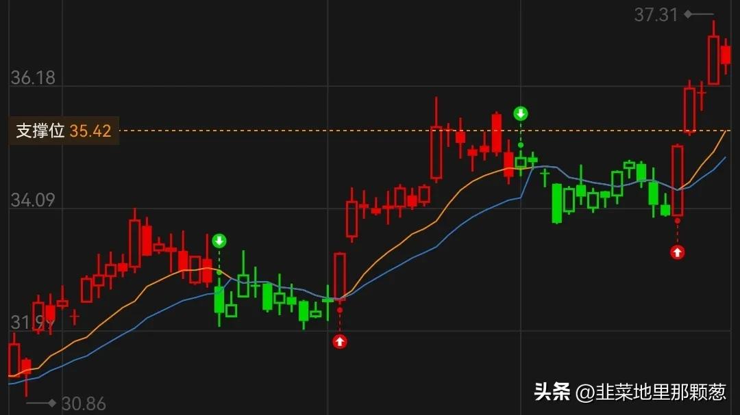 格力电器2019年除权除息日,格力电器拟分红55.37亿元