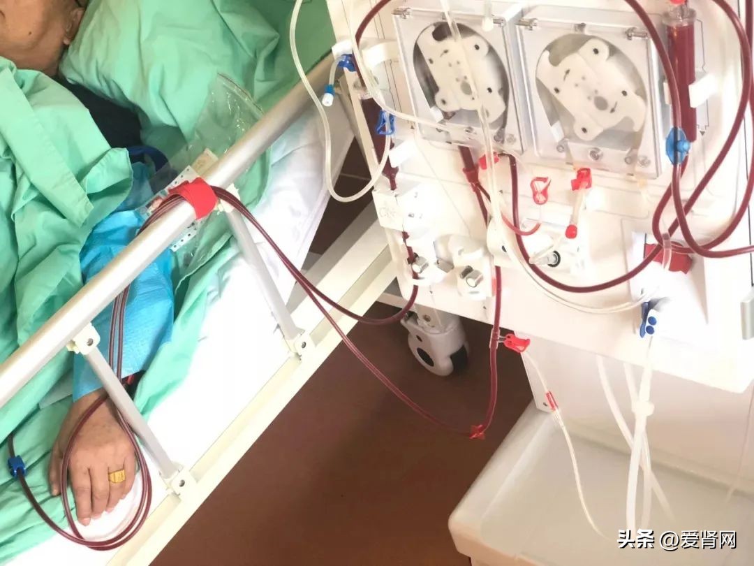 肾透析常见问题,透析器凝血的处理流程