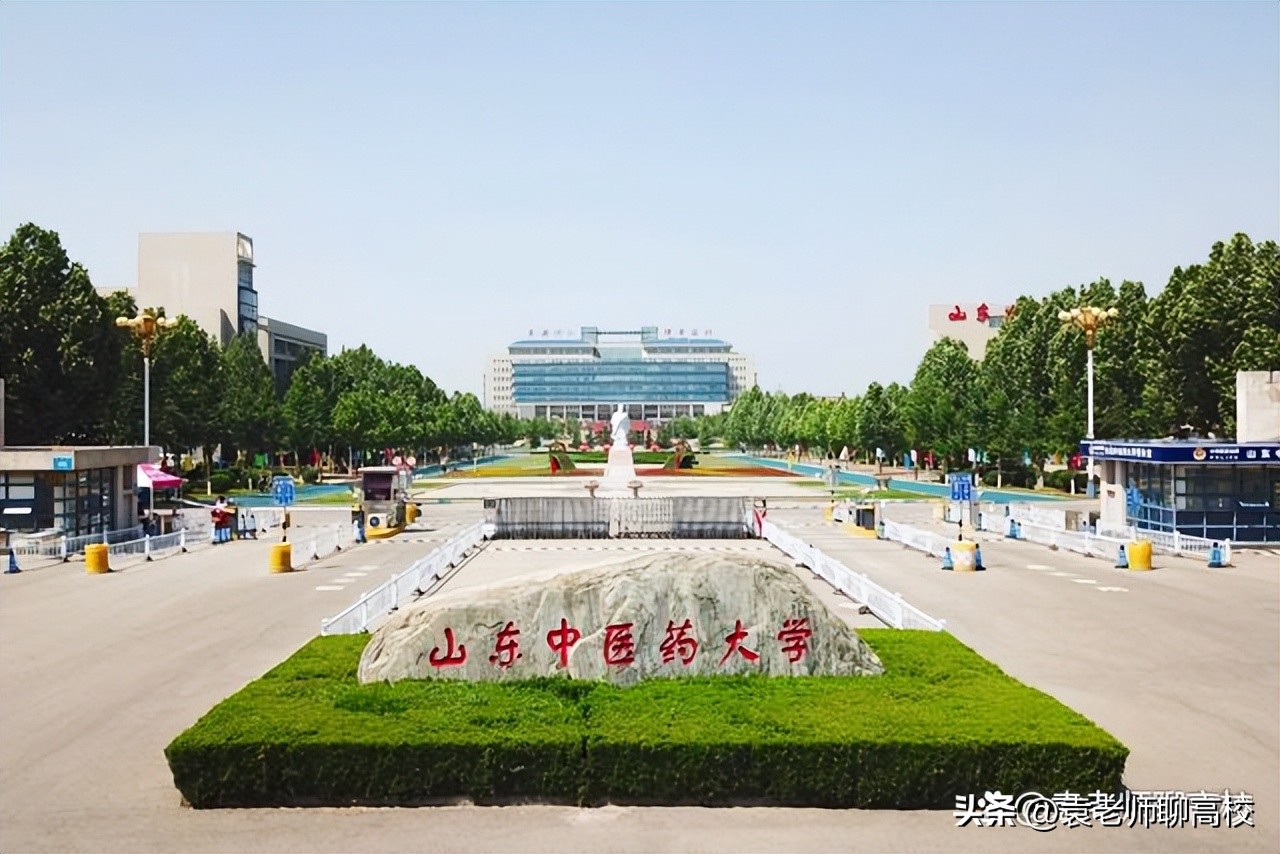 山东四大医学院排名,山东各个大学医学院排名