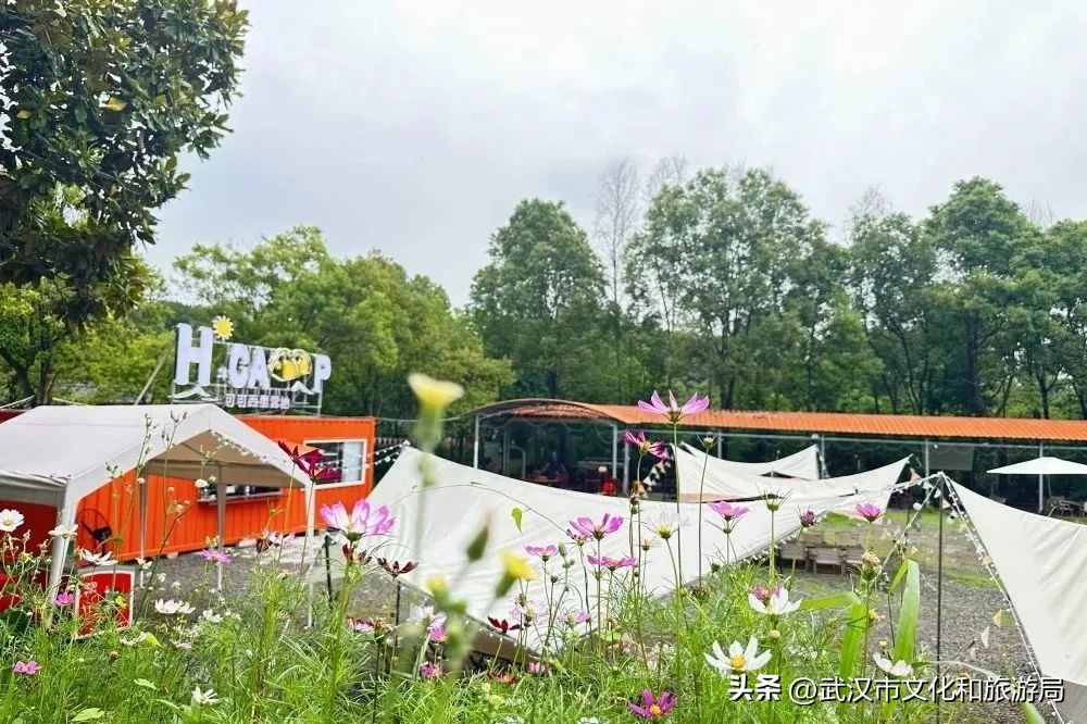 端午江夏旅游攻略,端午节江夏哪儿玩