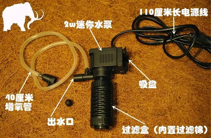 新手养龟过滤器推荐,养龟的龟缸里需要用什么过滤器