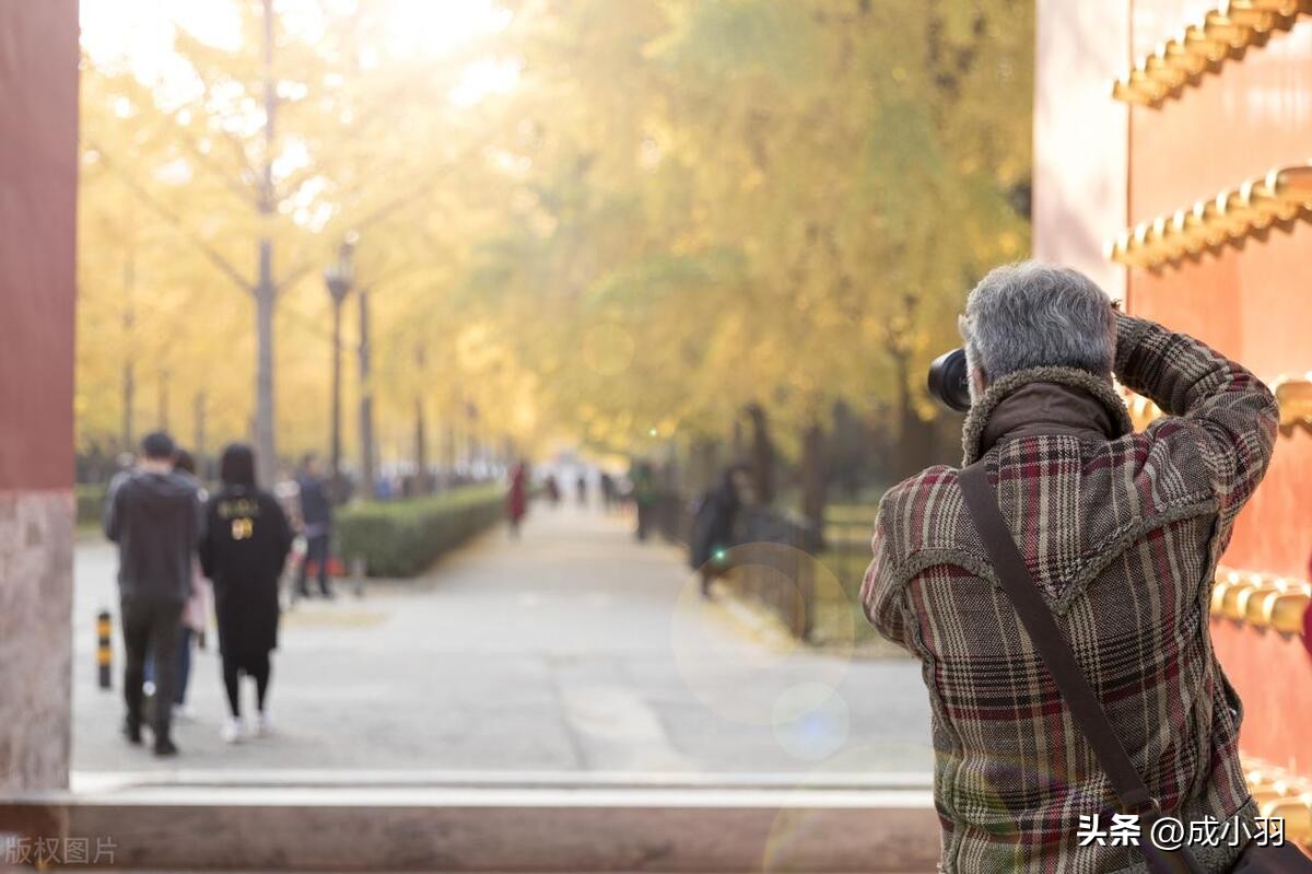 小时候母亲的谩骂对女儿的影响,父母对我总是恶语相加