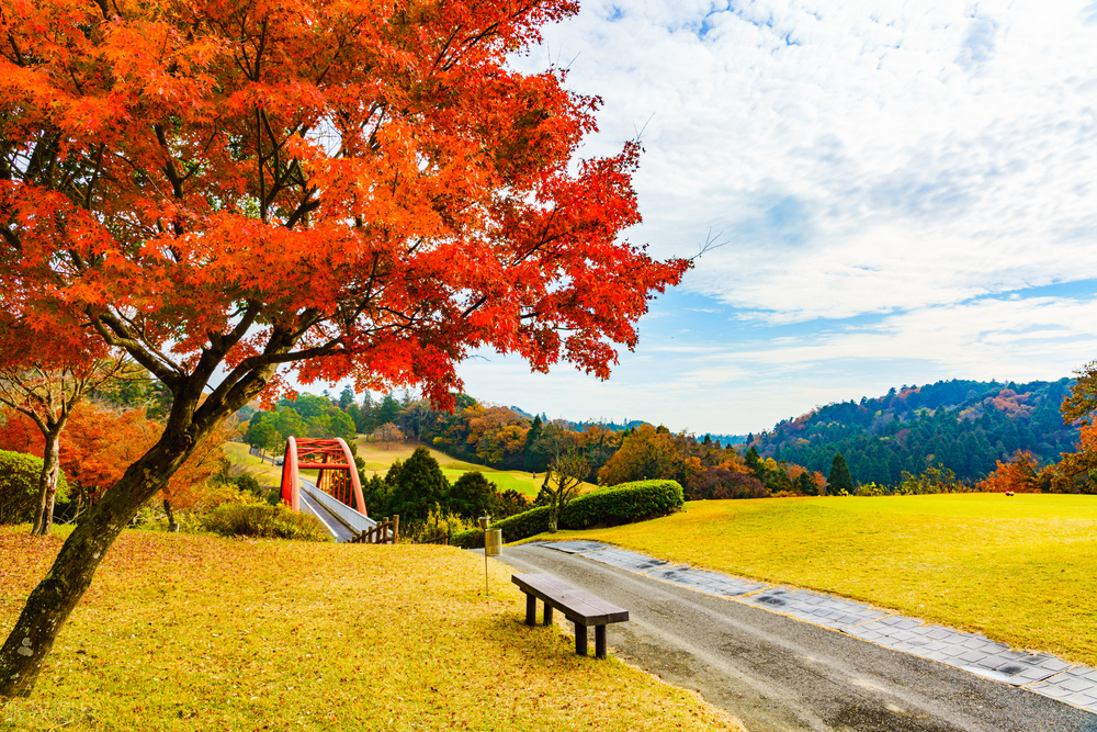 部编版九上语文目录,送东阳马生序原文