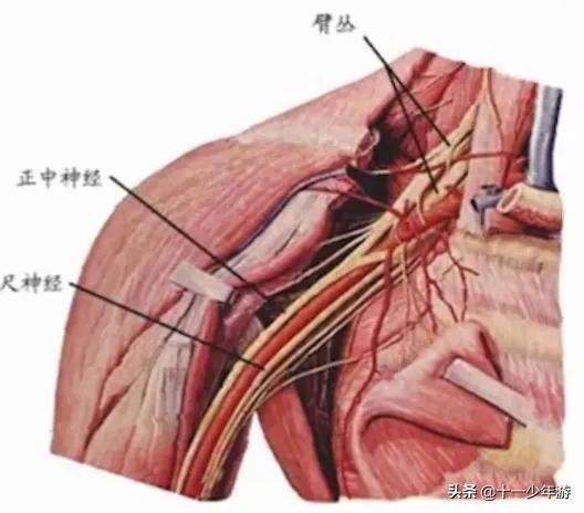 周围神经病和外周神经病,周围神经病