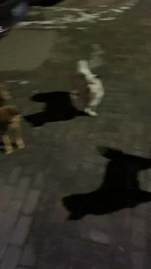 每日一笑很尴尬的瞬间,每日一笑尴尬瞬间