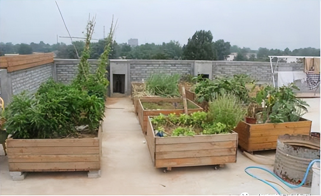 房间楼顶漏水该找谁,房间楼顶渗水