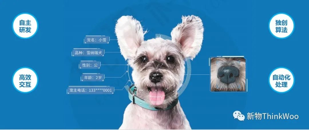 AI赋能养宠，数字“狗生”是真狗！|新物Trends