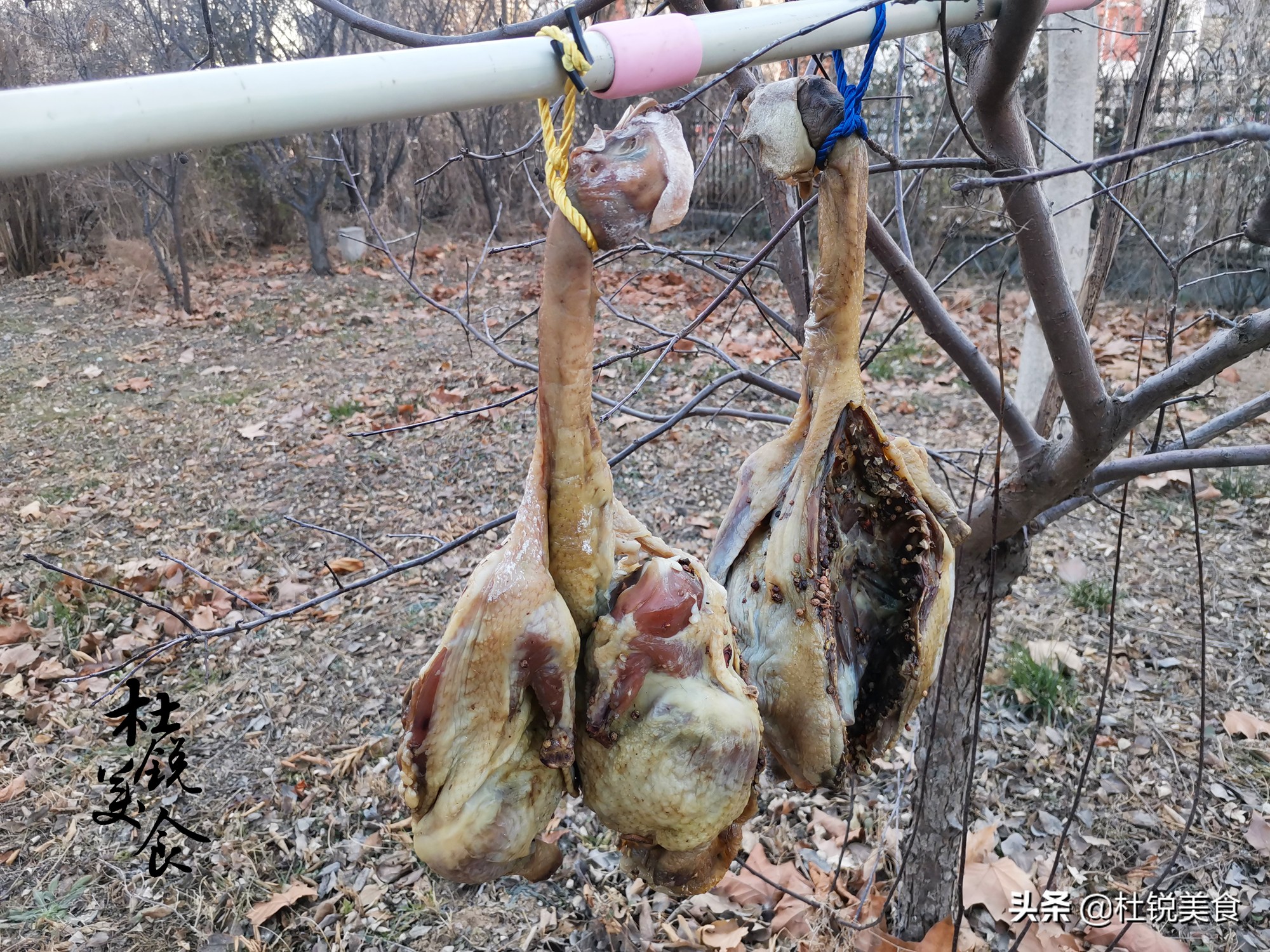 在家做风干鸡，只加盐可不行，多加4料更鲜香，过年下酒就靠它