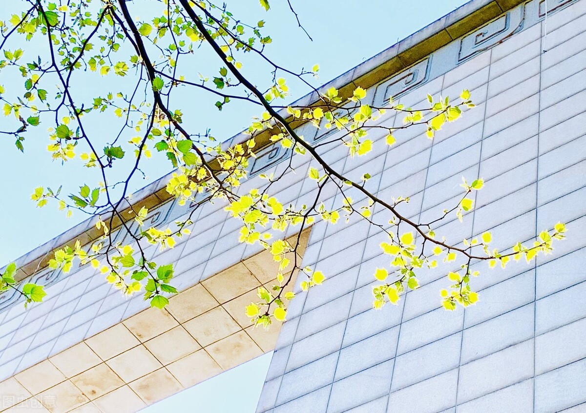 冒充中通快递员加qq是什么骗局,中通快递加qq是什么套路