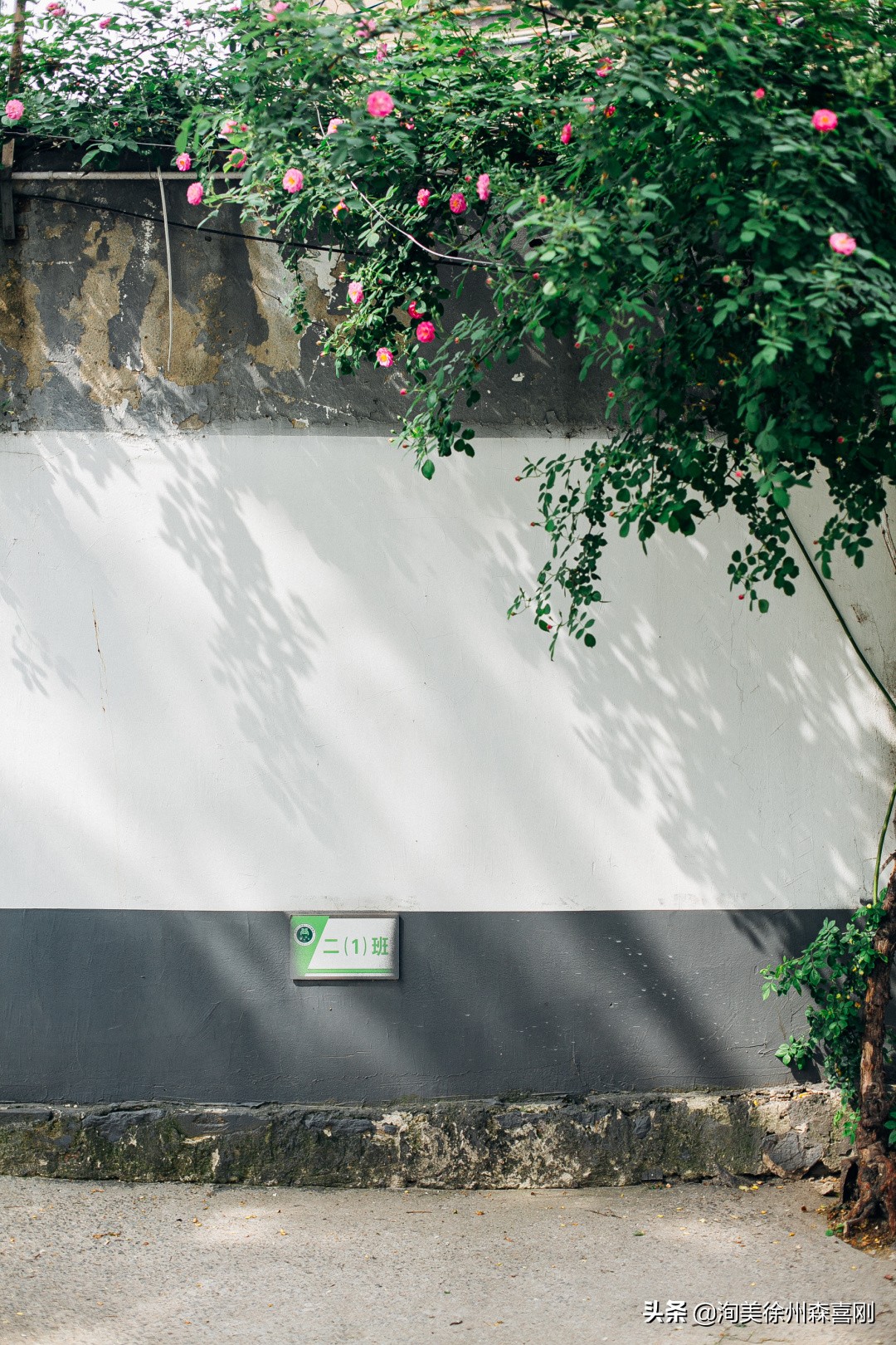 我在校园里的童年,我在小学的快乐时光