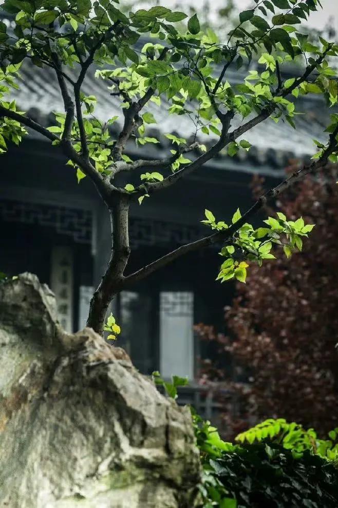 生活就是用一两分的甜冲淡8分苦,生活用一两分的甜冲淡七八分的苦