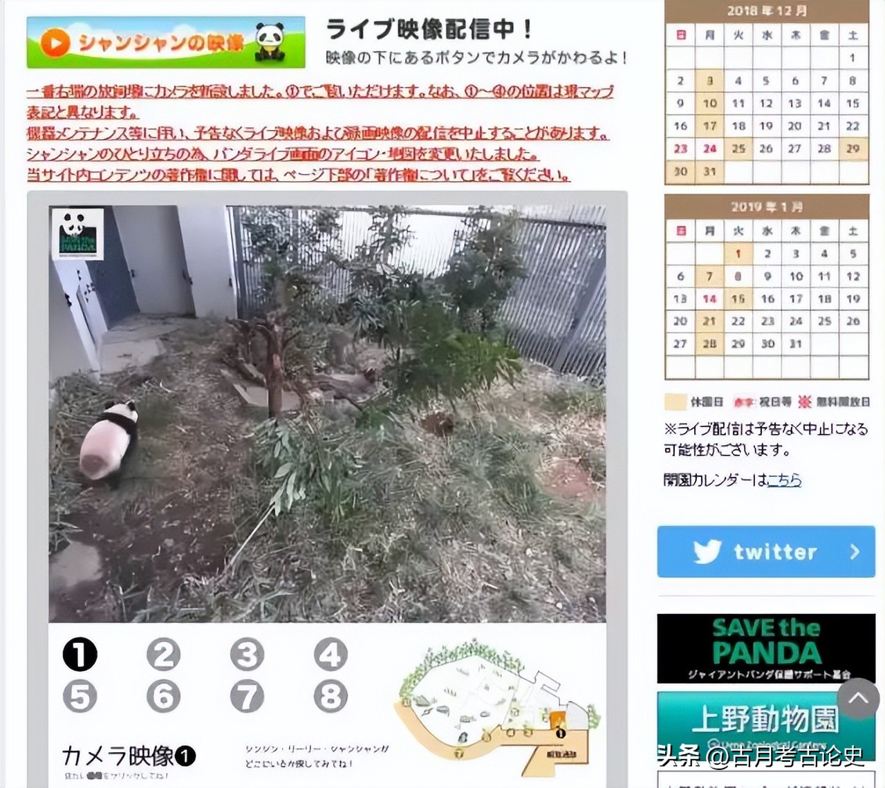 旅日大熊猫回国日本人反应,四只旅日大熊猫陆续归国