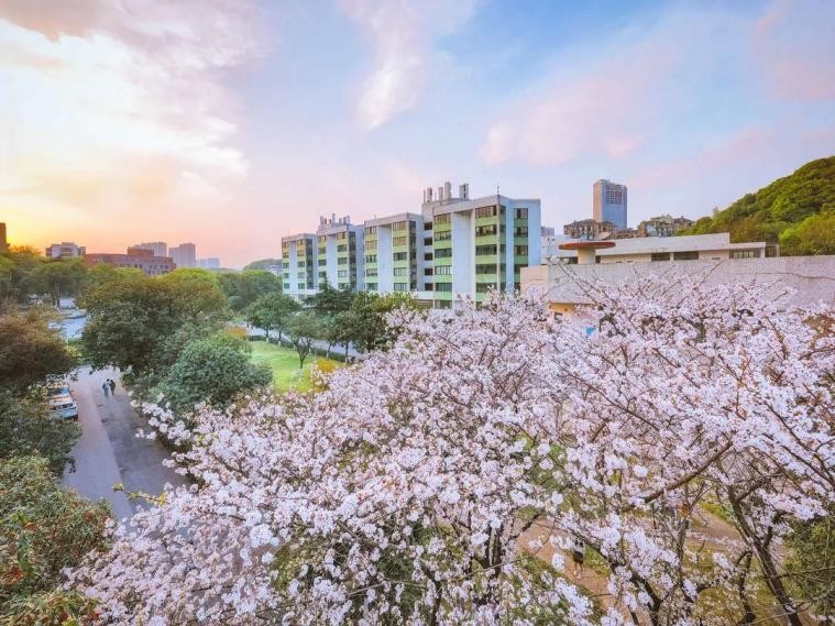 湖南大学就业前景好的专业,湖南大学好就业的专业排名