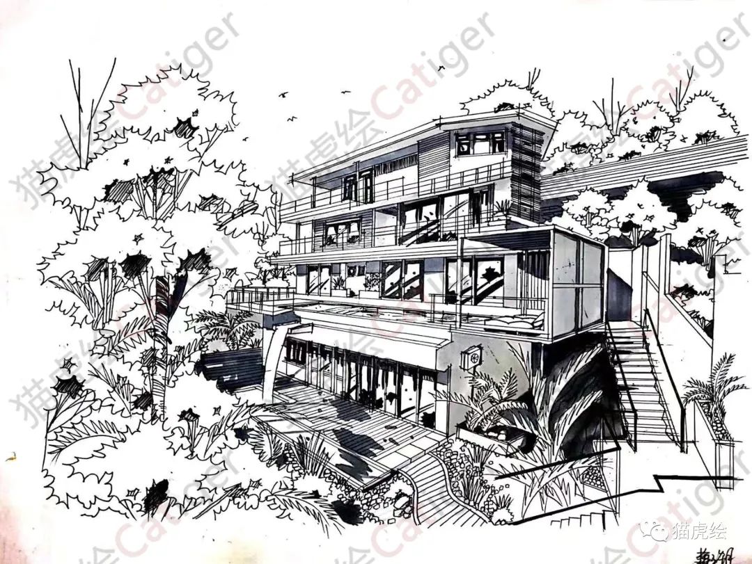 2022猫虎绘暑假手绘班招生简章「线上+线下」