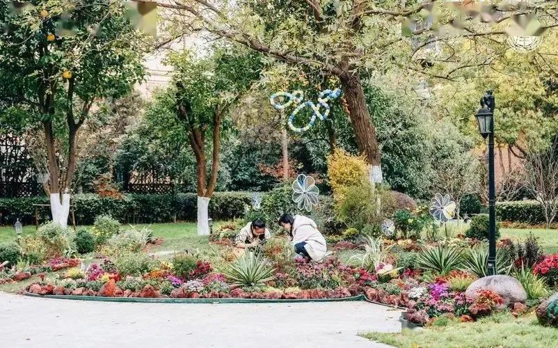 园林技术专业就业方向工资待遇,园艺技术专业就业方向