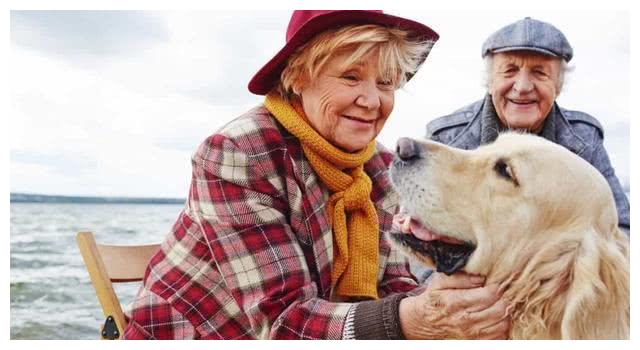 2024年老龄化社会的商机在哪里,人口老龄化给企业带来了什么商机