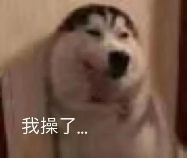 朋友圈文案可爱沙雕,适合朋友的沙雕文案