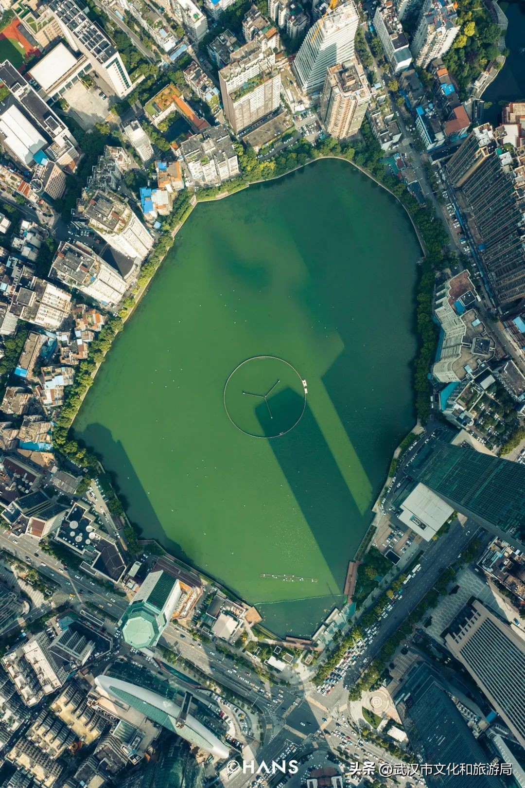 离武汉人最近的湿地，家楼下的10个宝藏小湖