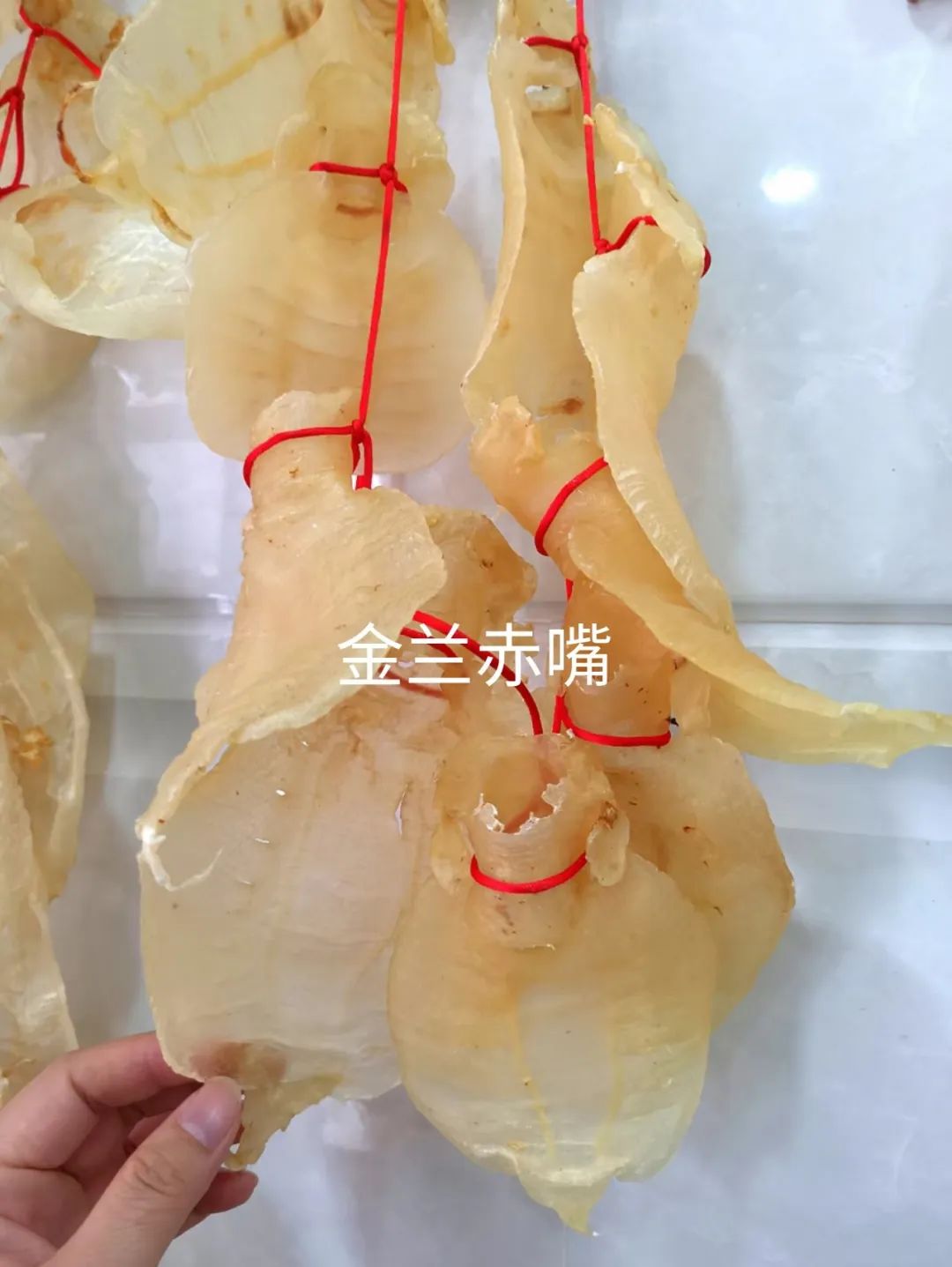 产后适合吃哪种花胶,手术后可以吃花胶吗