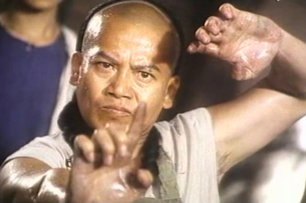 武打演员哪个最厉害,武打明星南拳王