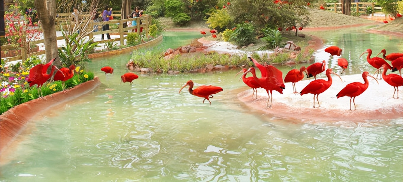 说走就走的旅行广州长隆欢乐世界,广州长隆适合8-10岁的主题乐园