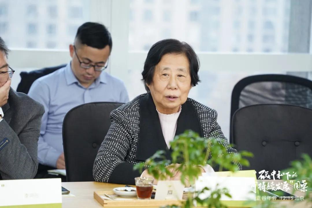 专家谈碳中和,碳中和专家访谈