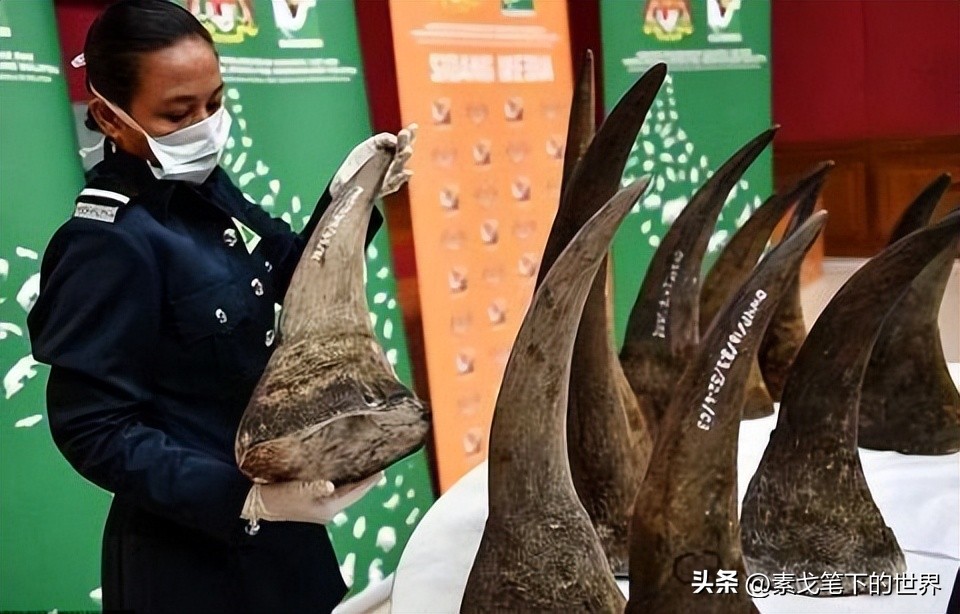 收入水平影响犀牛角消费偏好:野生与半野生犀牛角更受青睐