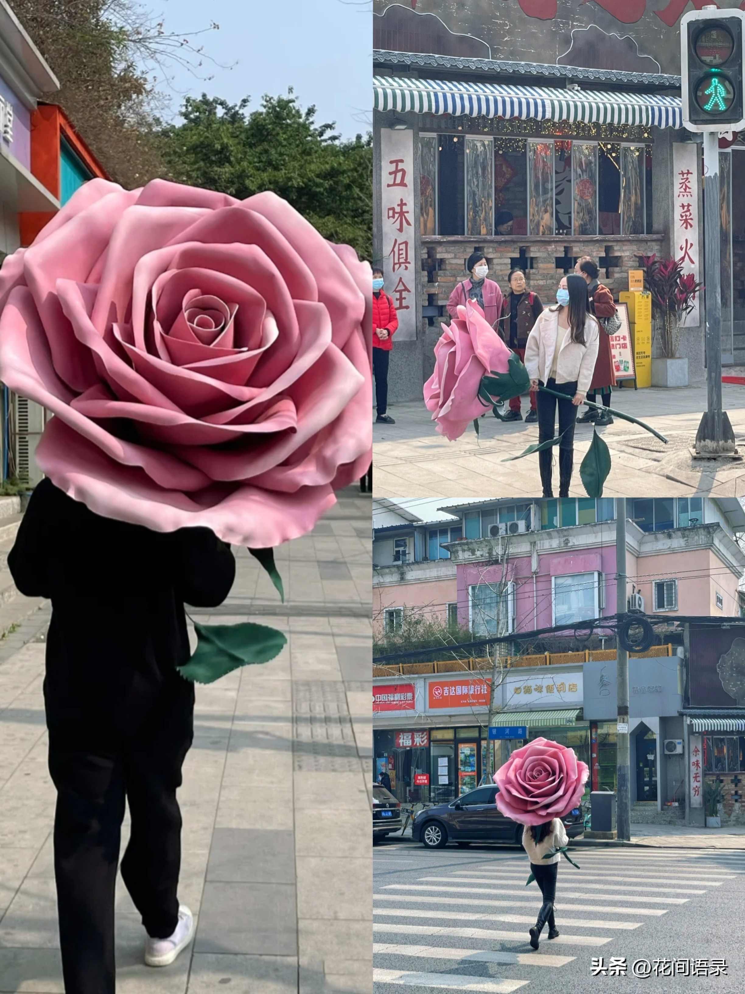 男子送四川女友巨型玫瑰花,小伙送玫瑰花给女友