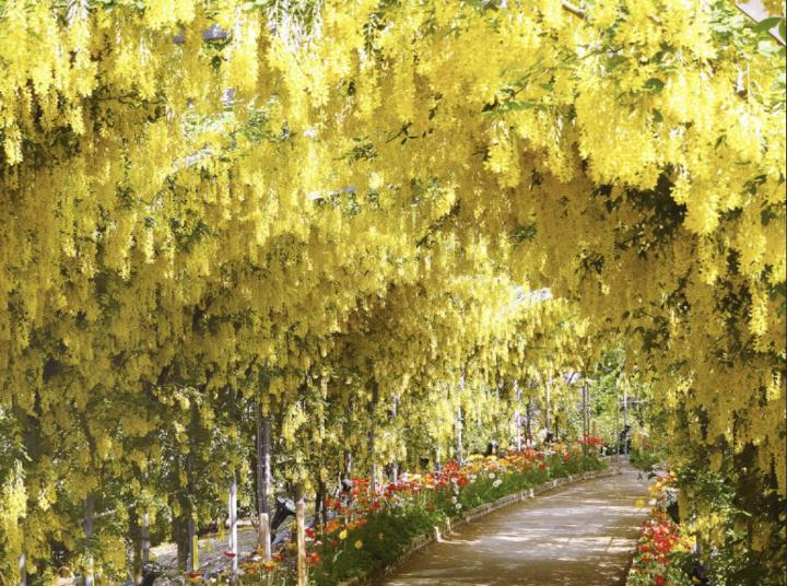 关东一日游最佳路线,关东二日游