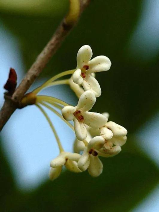 100种迷人的“数字花”,从零到一百万,真是太神奇了