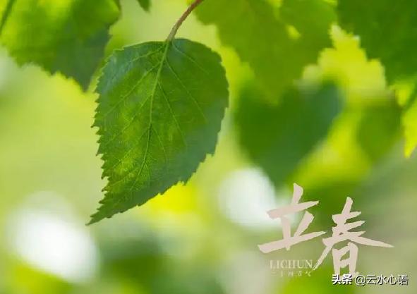 立春最美的十首诗,立春最出名的一首古诗七言绝句