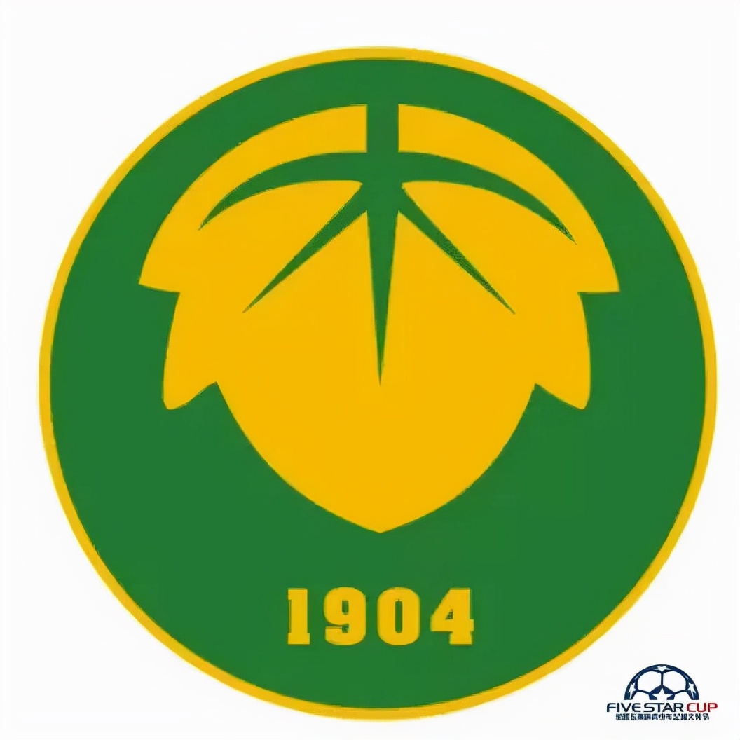 2022星耀五洲杯17站青少年足球赛,星耀青训打星耀五洲杯