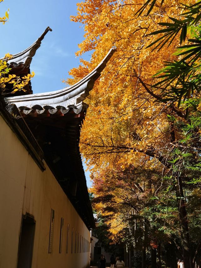 苏州秋季旅游最值得去的地方,苏州赏秋一日游攻略