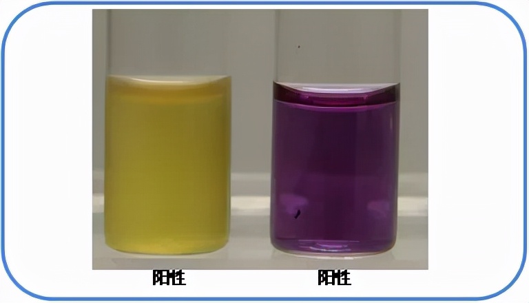 食品微生物沙门菌检验流程,食品中沙门氏菌的检测视频