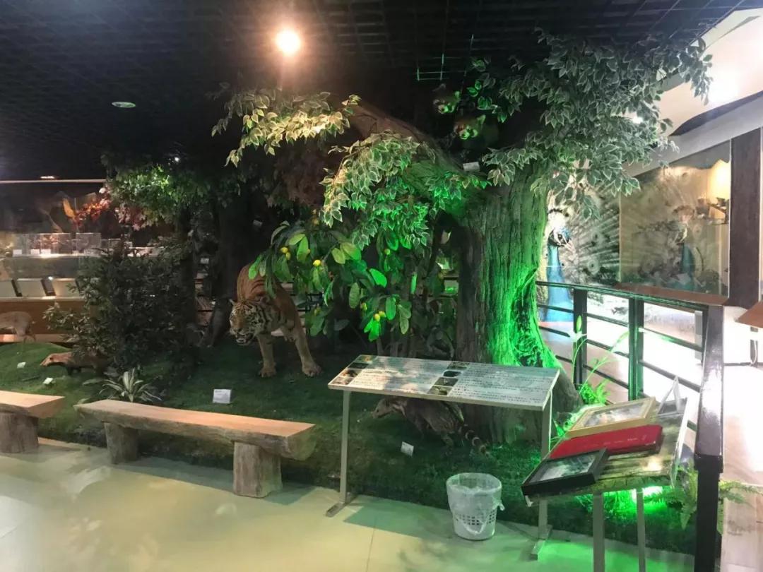 科技体验研学,科技研学课