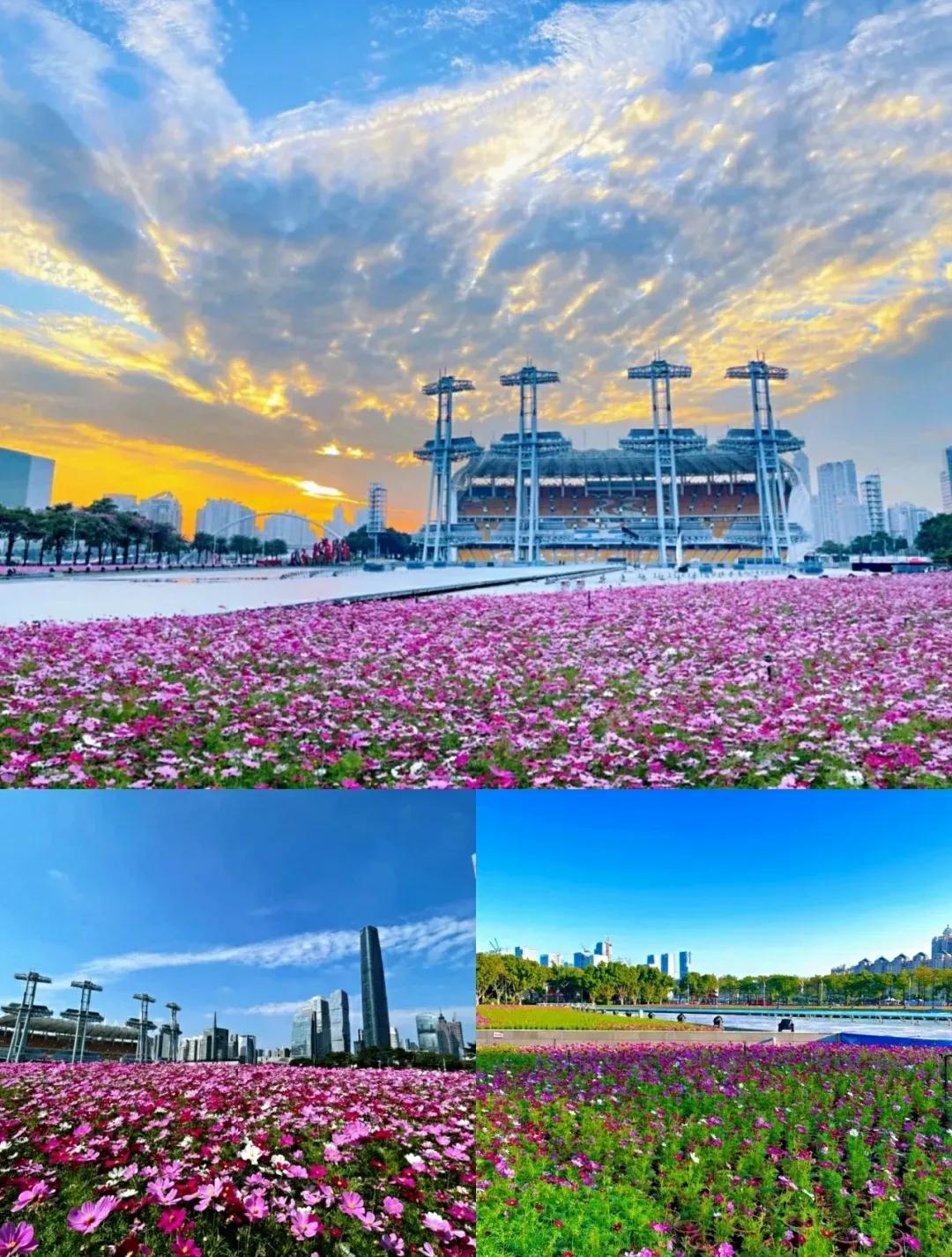 广东适合情侣约会旅游景点推荐,广东情侣最适合旅游的地方