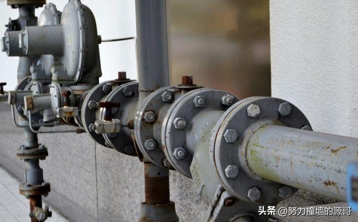 过滤净水壶如何选择好的品牌,净水壶怎么选择好用的品牌