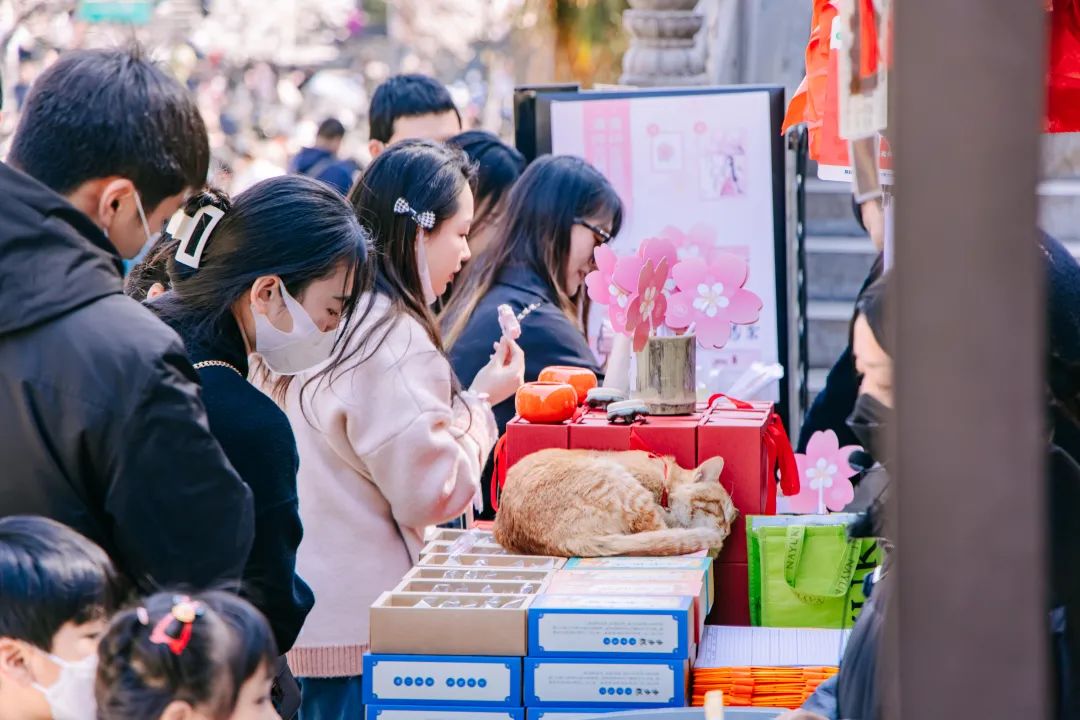 南京年轻人：改吃斋了