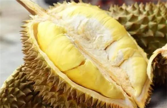 买了没熟的榴莲怎么才能快速熟,榴莲怎么不选到软烂的