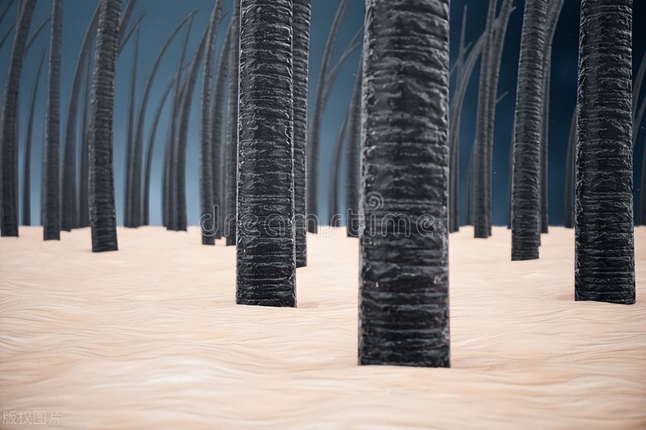 预防白发的产生的方法,白发的原因和调理方法