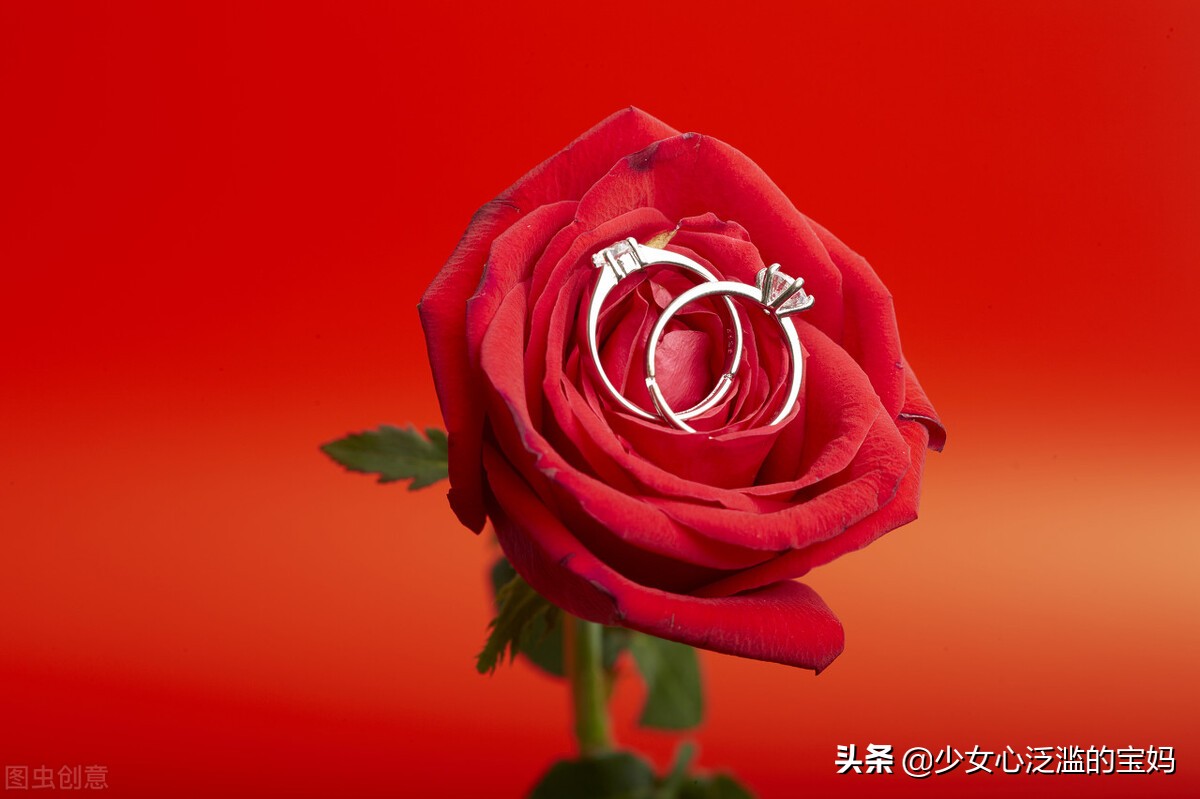 情人节送的玫瑰花怎么处理,情人节送仿真玫瑰花合适吗