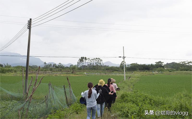 2乡村劳动者的生计：打工艰难，创业是出路