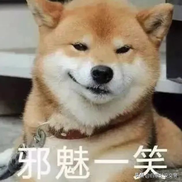 酒后不驾车准则,酒后莫驾车