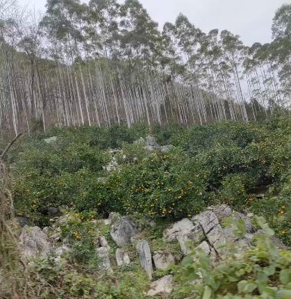 西安到北海自驾过路费是多少,西安到北海自驾在哪里住一天合适