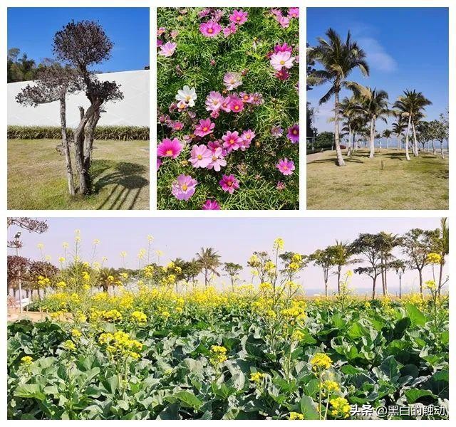 珠海最干净的海滩排名,珠海值得去的城市