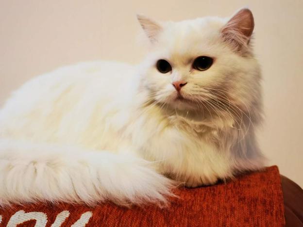 你托付我一生我还你爱的永恒