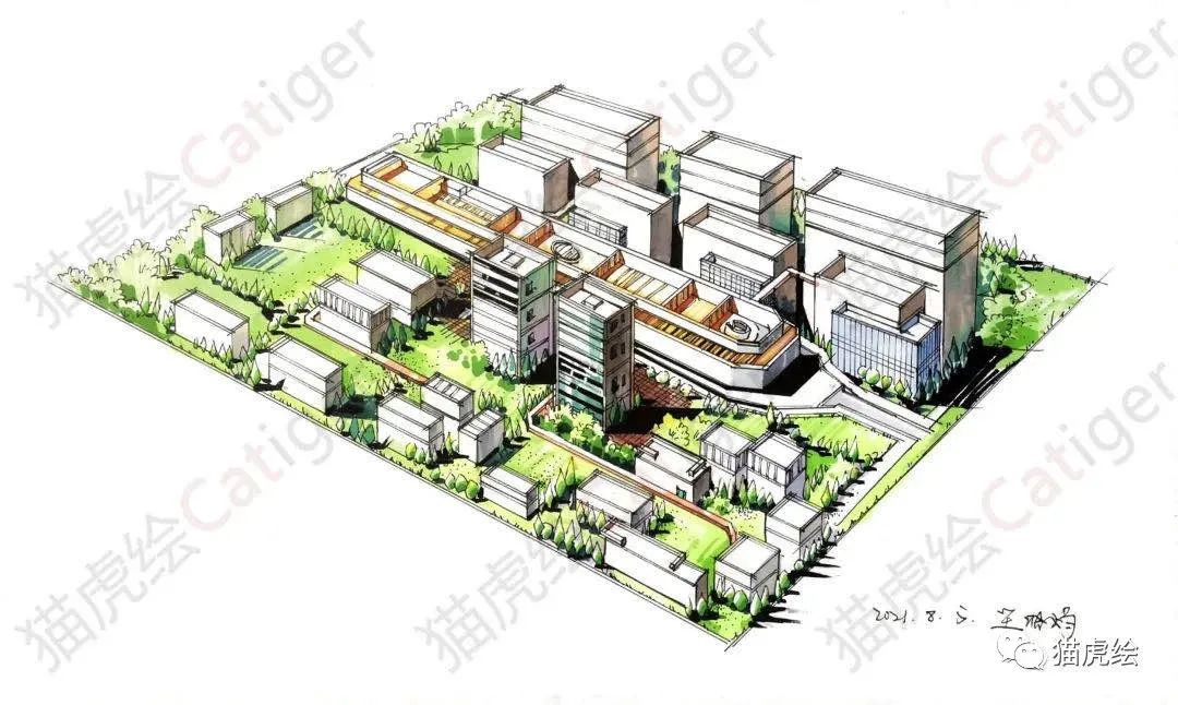 2022猫虎绘暑假手绘班招生简章「线上+线下」