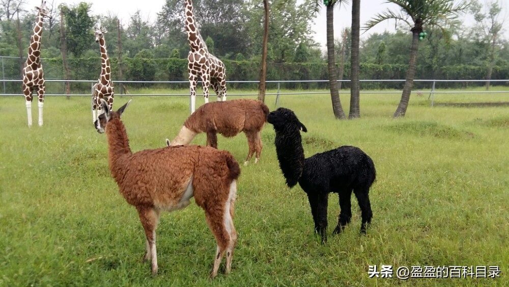 秦皇岛旅游攻略网红打卡,秦皇岛最新旅游攻略