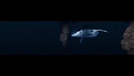 升！升！升！周末去这些地方打卡→